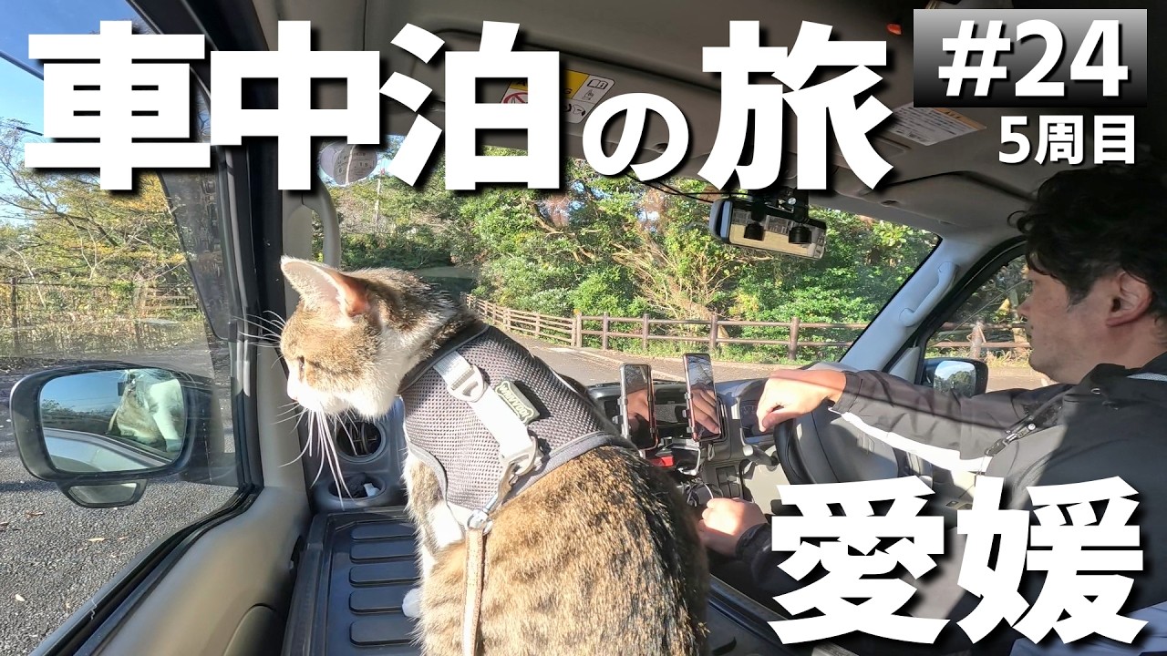 【#5-24】九州→四国。愛媛の無料キャンプ場「室鼻公園キャンプ場」→高知「帰全山公園キャンプ場」に泊まります！【車中泊の旅】