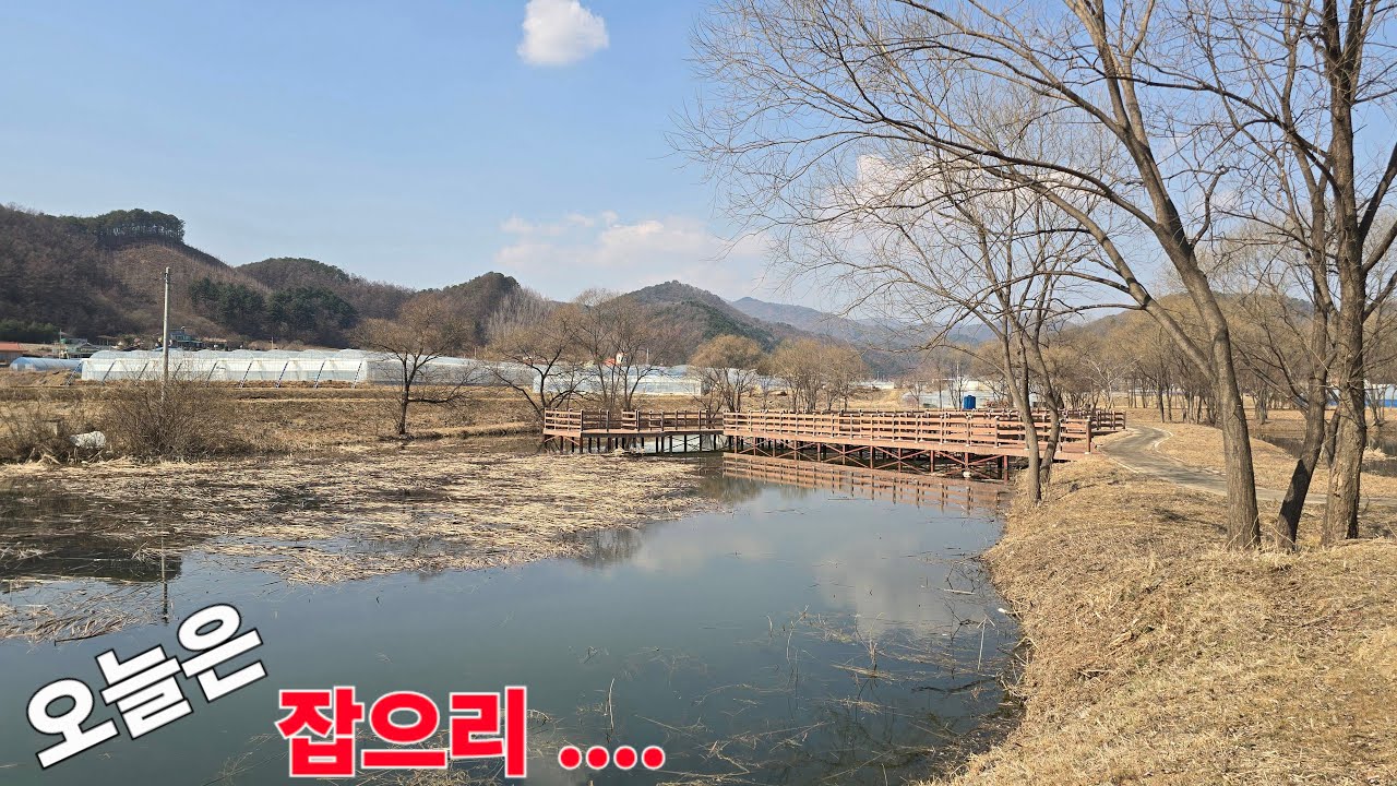 오늘은 잡으리 화천 원천리 둠벙 붕어 낚시 세번째