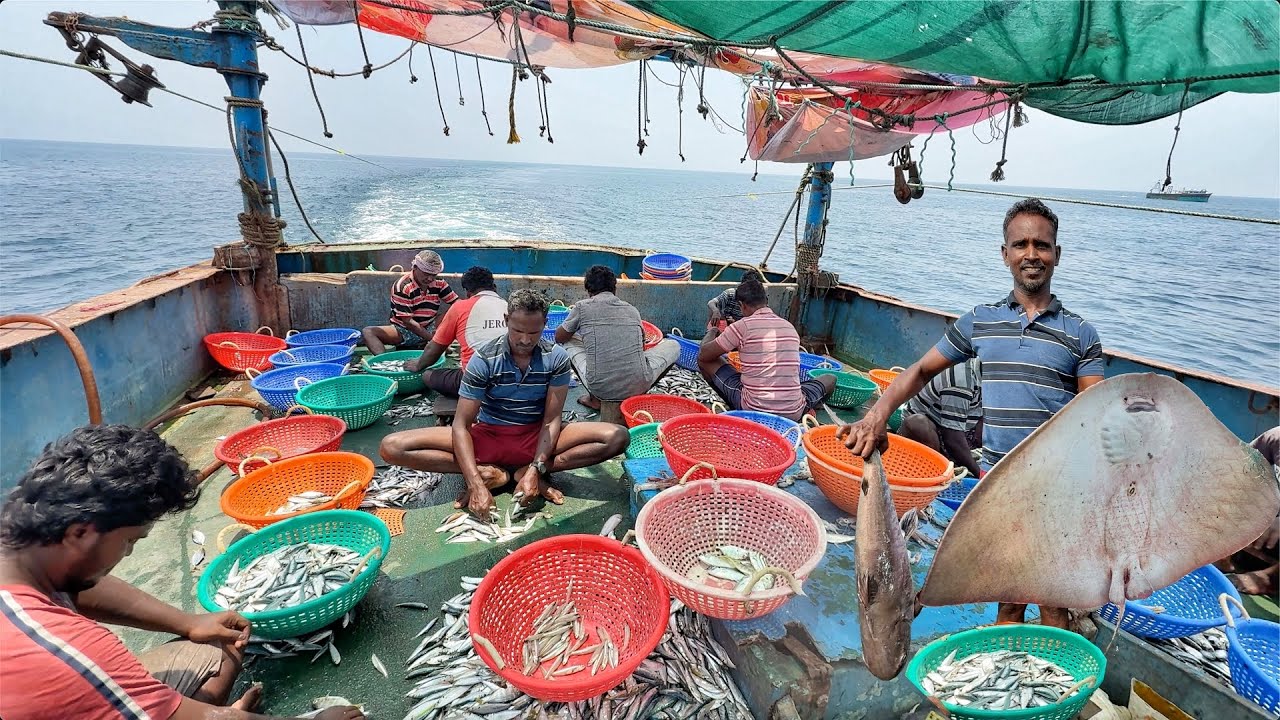 Wow‼️Deep Sea Fishing Gone Wild – HUGE Catch of the Day💢‼️