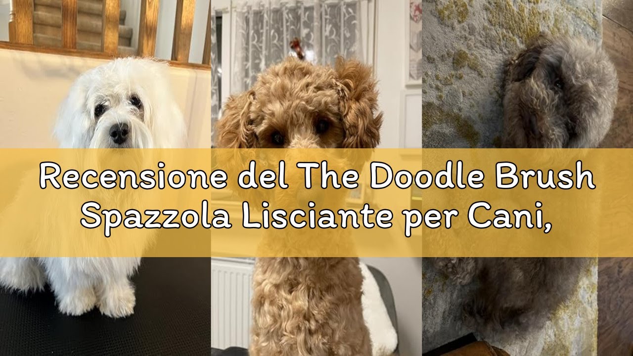Recensione del The Doodle Brush Spazzola Lisciante per Cani, Spazzola Flessibile a Testa Singola per