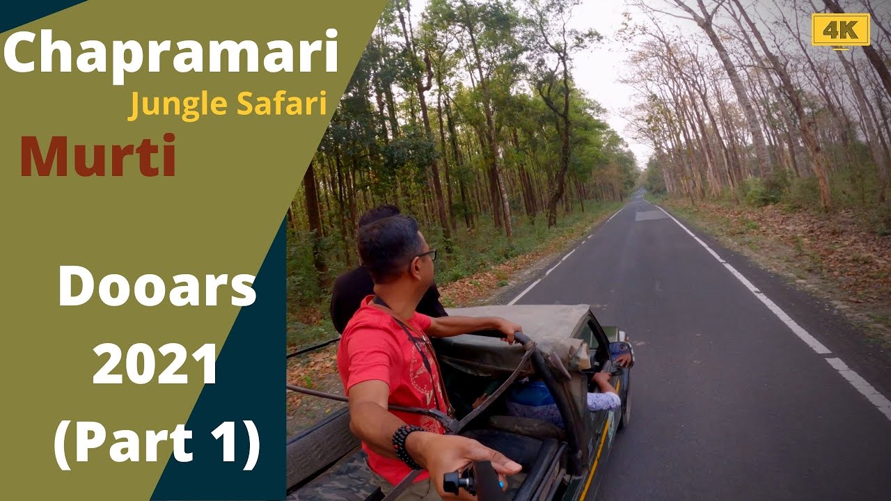 Gangtok to Murti | Chapramari Jungle Safari | Murti Tourist Lodge | WBTDC | Dooars 2021 Part 1