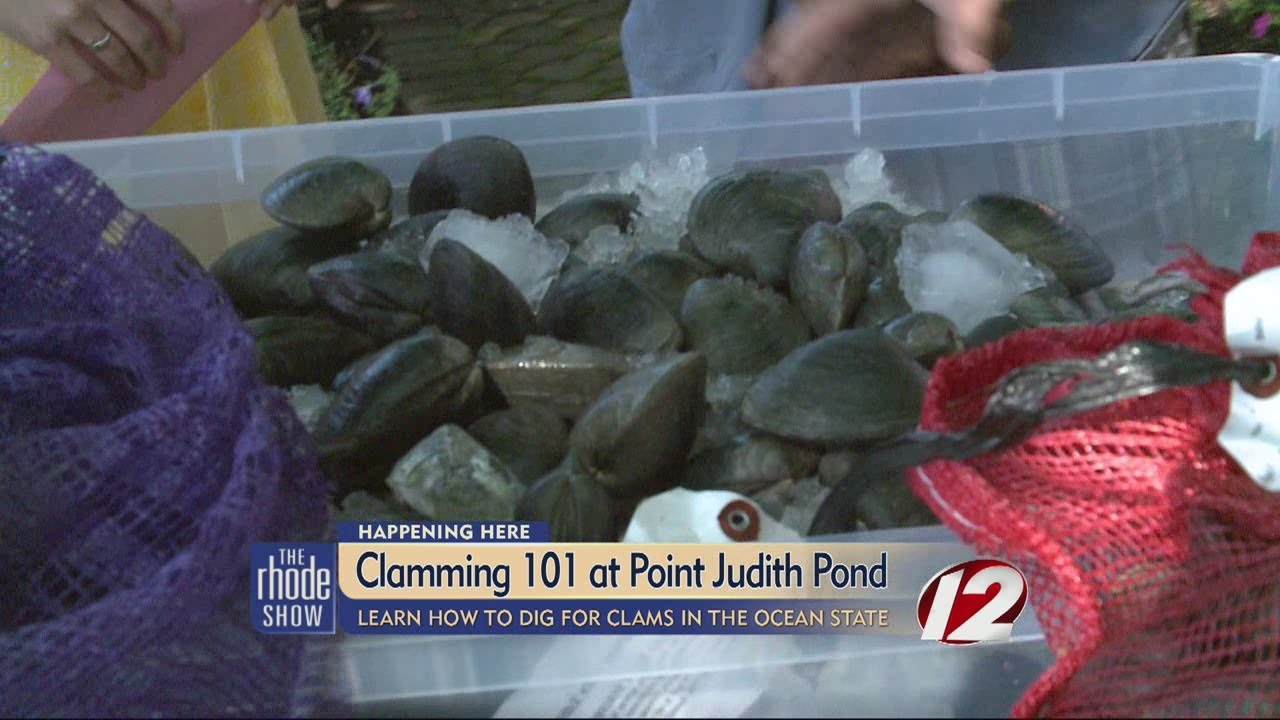 Clamming 101 at Point Judith Pond