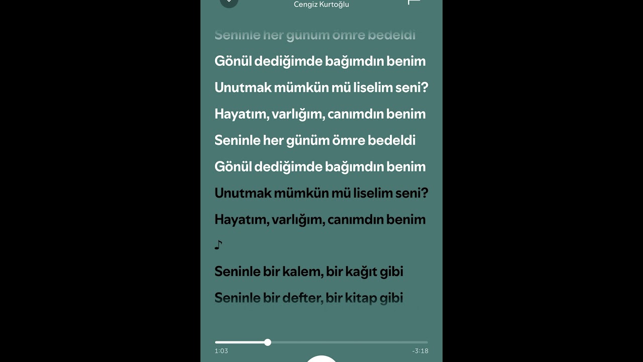 Cengiz Kurtoğlu LİSELİM