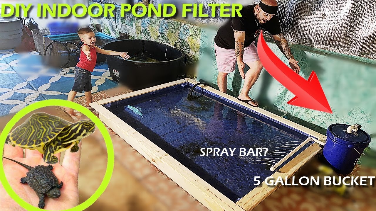 DIY INDOOR POND FILTER + BABY TURTLES