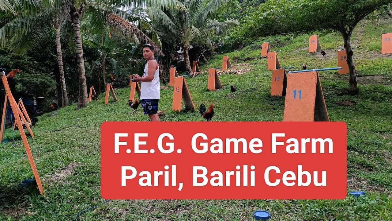 EP625: F.E.G. GameFarm sa Paril, Barili Cebu
