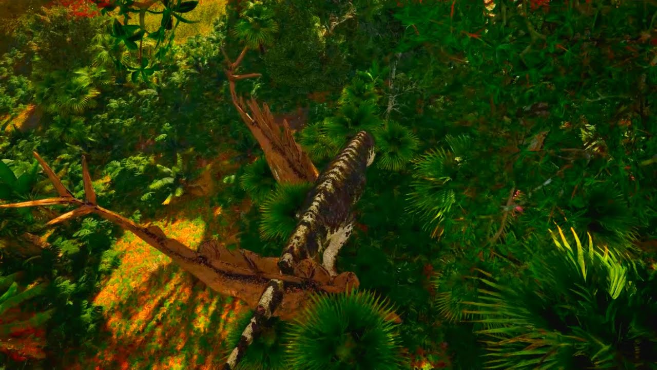 The Isle Evrima | Prime Tyrannosaurus Rex Gameplay