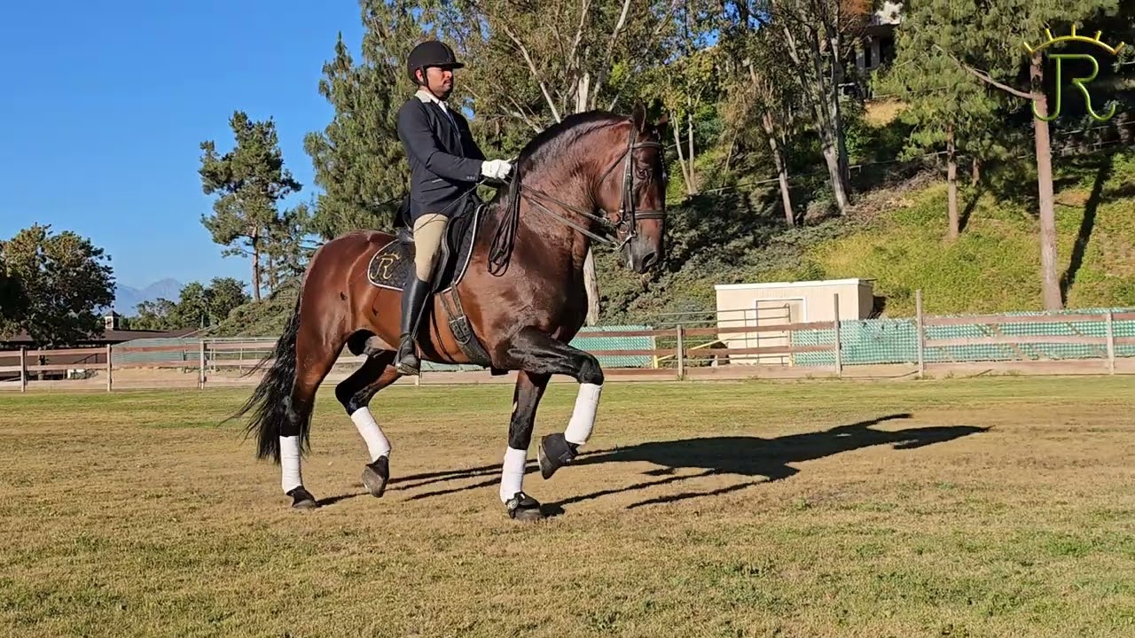 rancho los jimenez atrevido mango