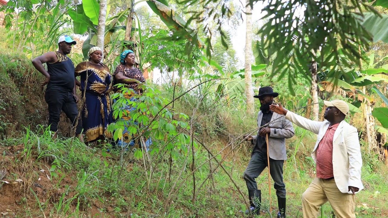  BIRIHO EP19:   AMATIKU YO MU CYARO DORE IBITUTSI BYA MPANGARA NGUHAMGARE