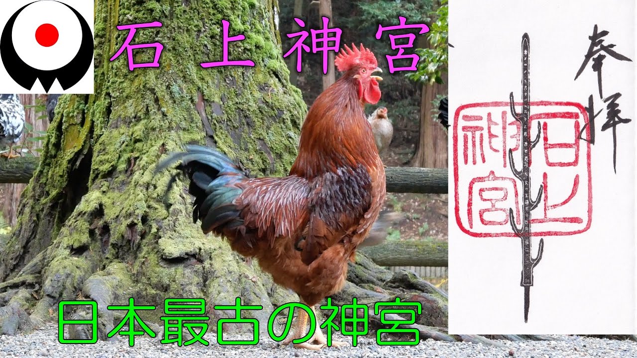 【石上神宮】参拝方法ガイド/全コース完全映像記録