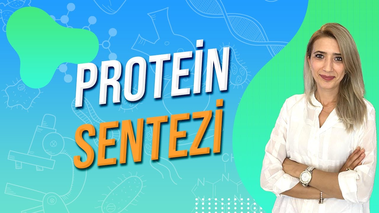 PROTEİN SENTEZİ | Seda Hoca Biyoloji 🧬#ayt2024