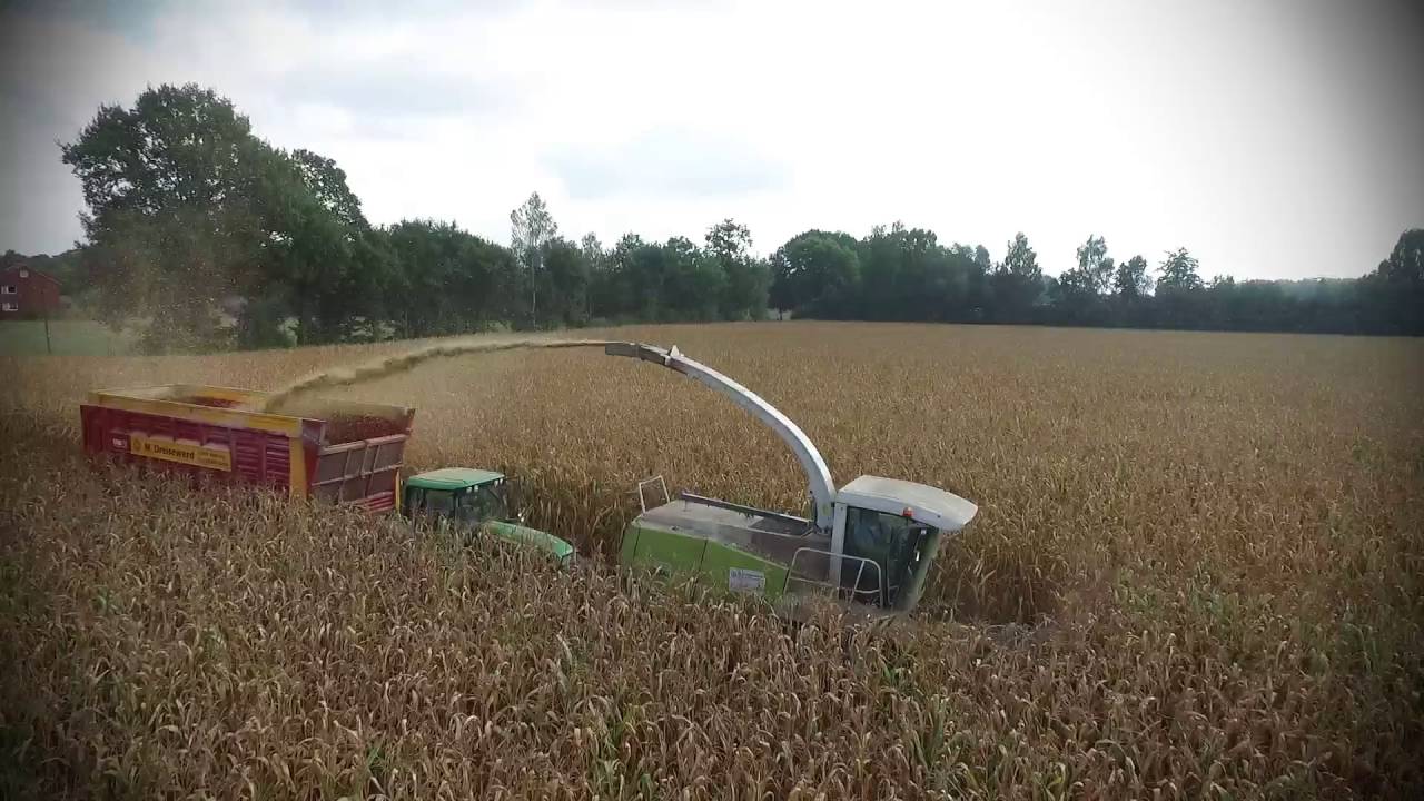 Claas Jaguar 830
