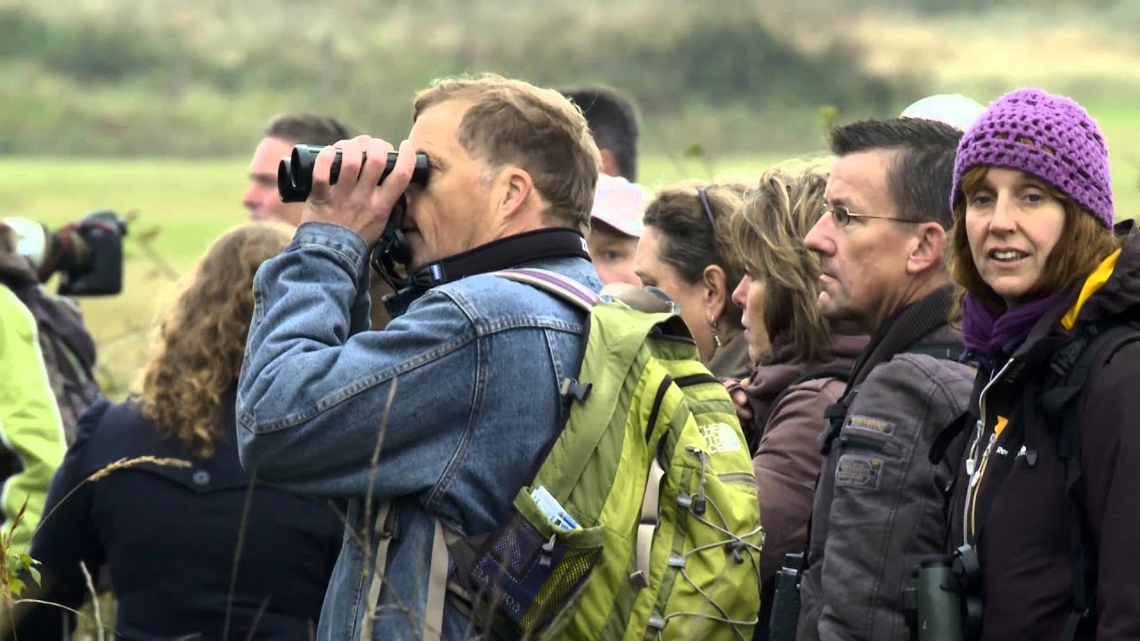 Natuurnieuws Texel, oktober 2013