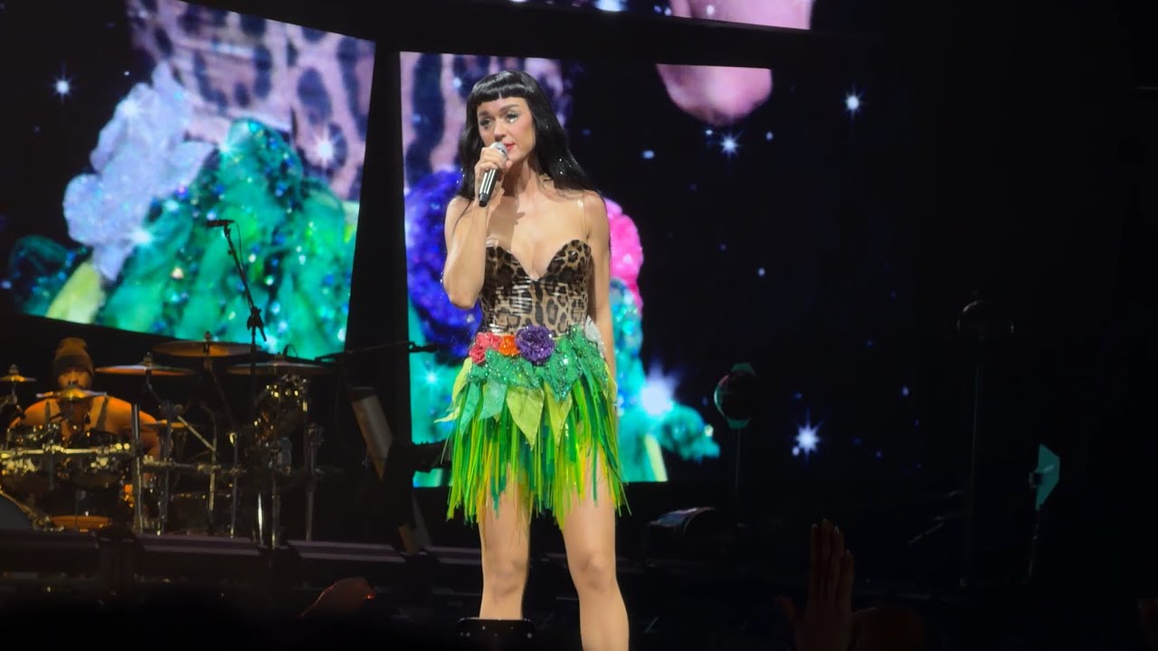 Katy Perry Lifetimes Tour London Night 1 Fan Interaction/Love Me