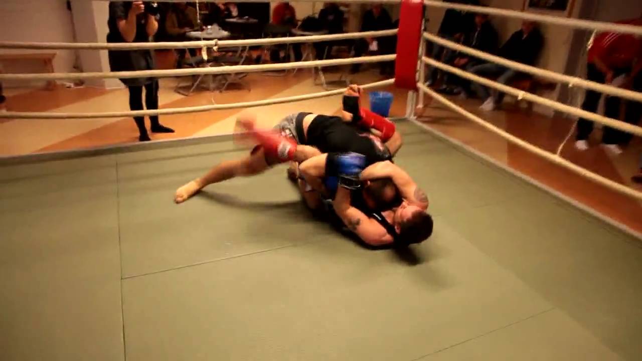 Paolo Vs Ilir