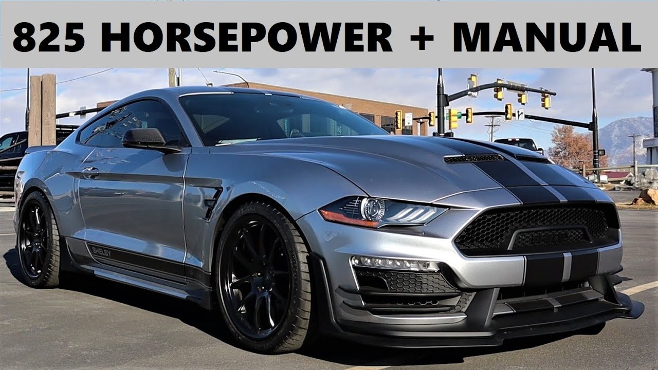 New Shelby Mustang Signature Edition: Is This Better Than The Shelby GT 500???
