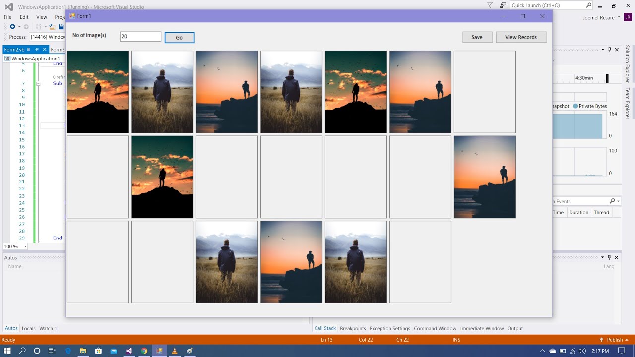 VB.Net Programming: How To Store Multiple Images