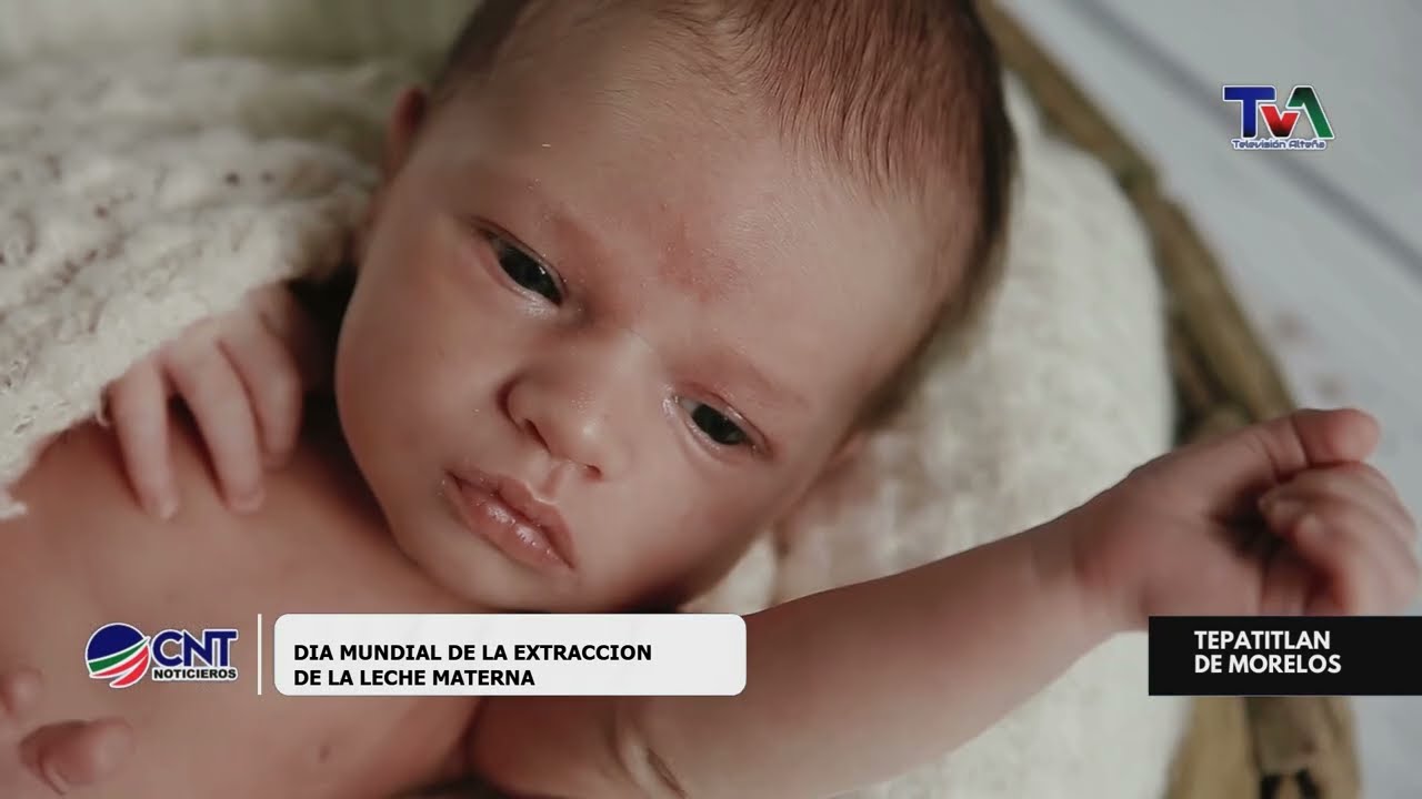 🤱 La importancia de la leche materna en los primeros meses de vida