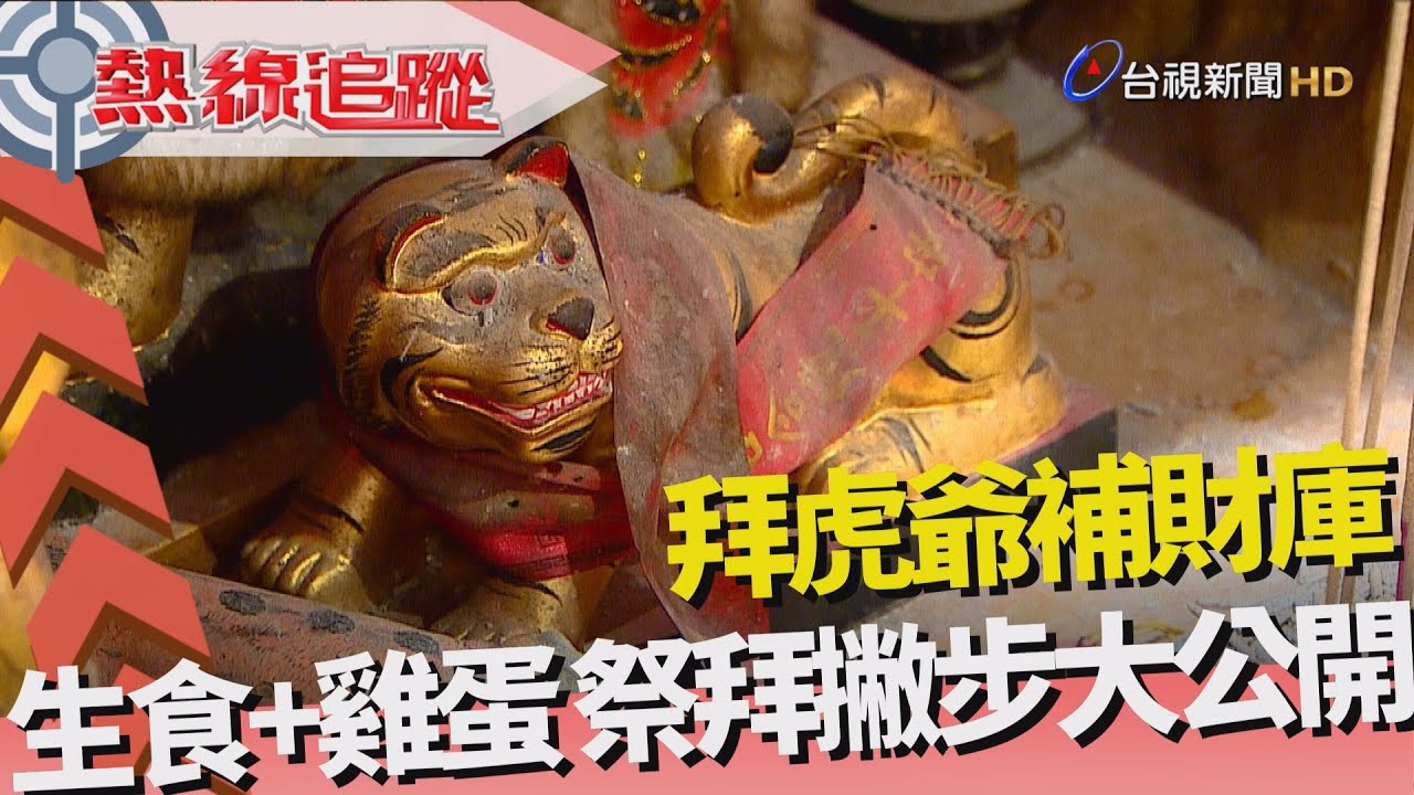 熱線追蹤 - 另類財神虎爺 咬錢添富