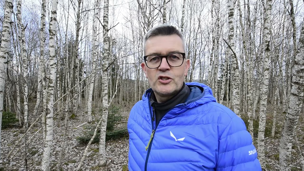 Thomas Heitmar im Birkenwald