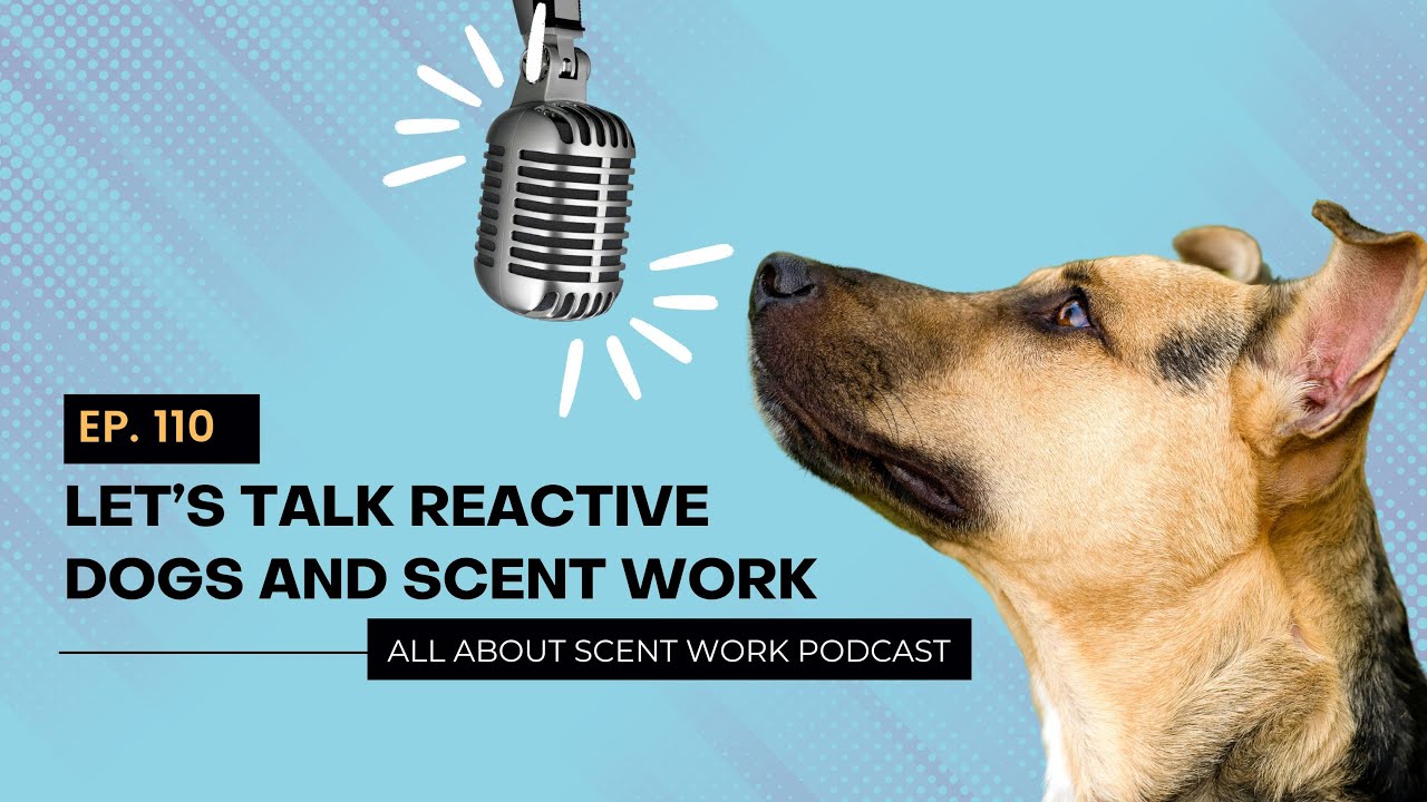 Ep. 110: Let's Talk Reactive Dogs and Scent Work