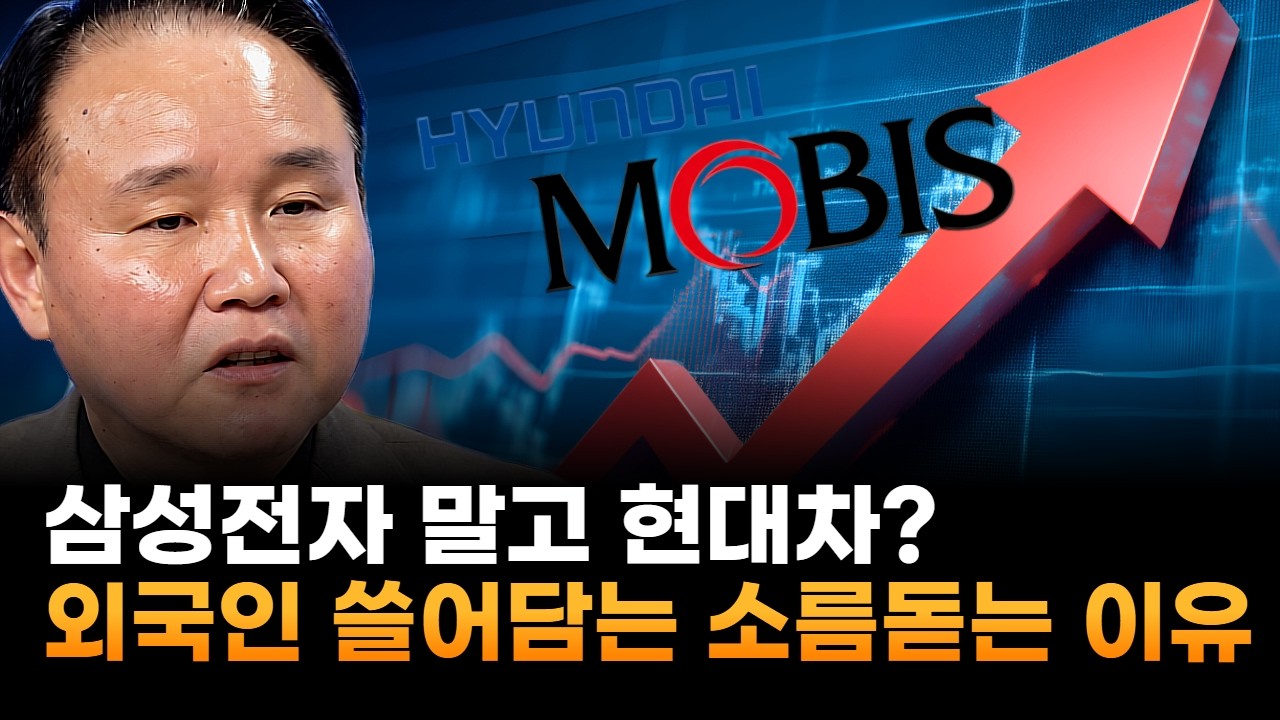 삼성전자 말고 현대차?…외인들 모비스 쓸어 담는 소름돋는 이유 (윤석천 경제평론가)