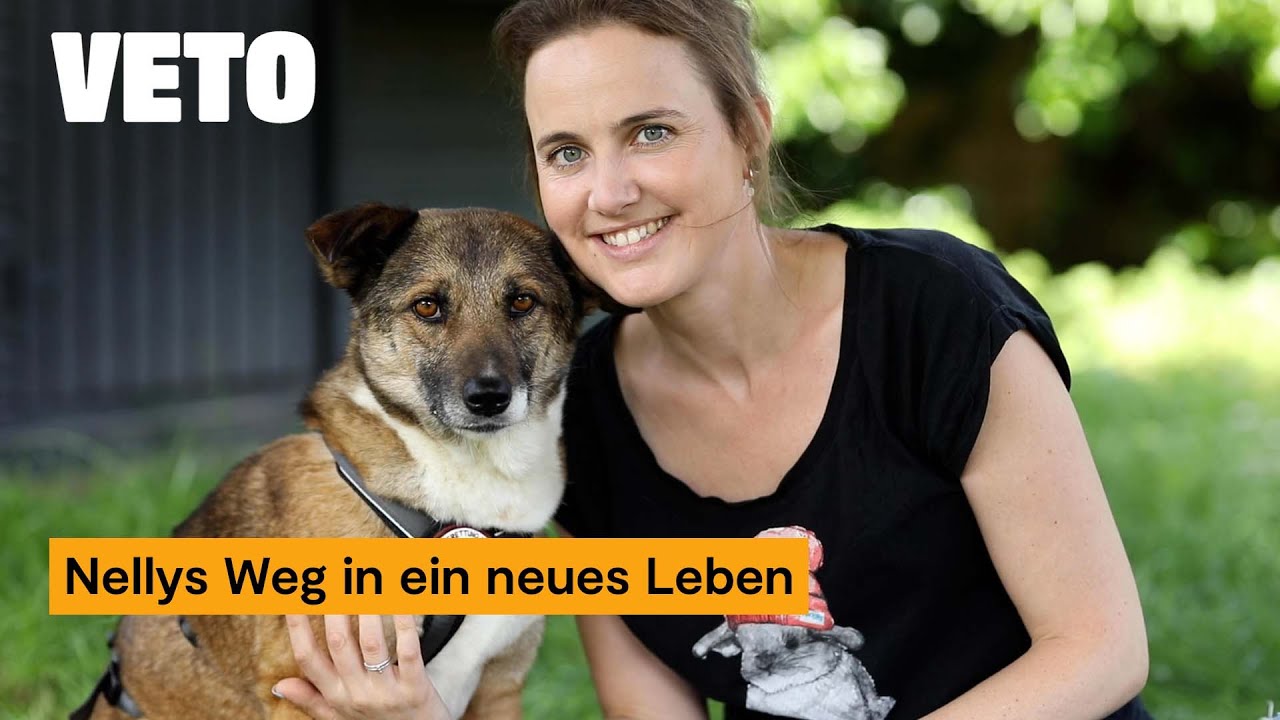 Pflegestelle im Tierschutz - Von der Ankunft bis zur Vermittlung
