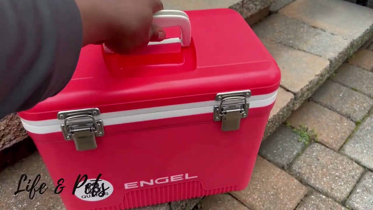 Обзор ланч-бокса ENGEL Cooler DryBox на 13 квартов: лучший ланч-бокс в мире