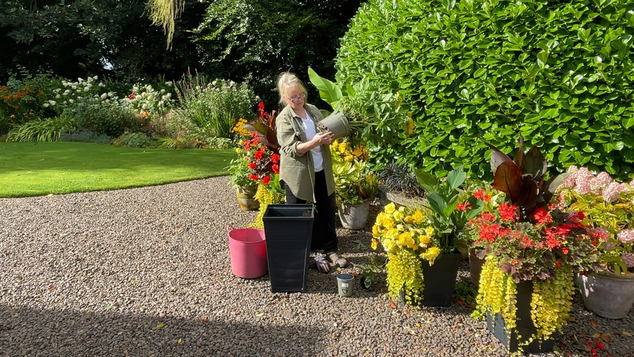 Planting Autumn containers | Refreshing house entrance for Autumn | Hot Border tour