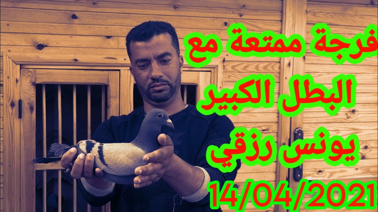 زيارة عند البطل الكبير رزقي يونس فرجة ممتعة
