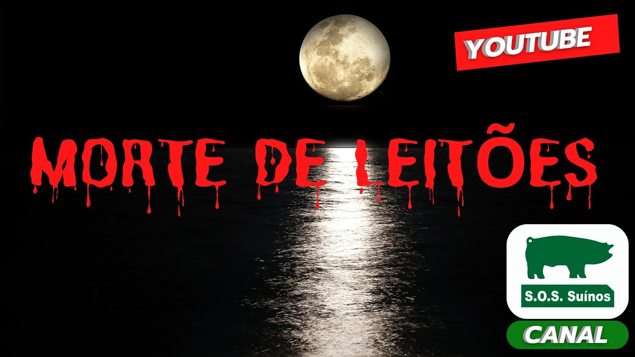 SUINOCULTURA: MORTE DE LEITOES NA PRIMEIRA SEMANA