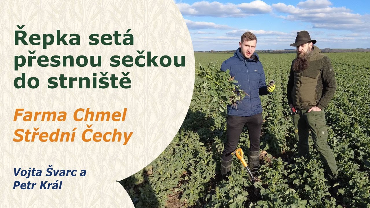 Řepka setá přesnou sečkou přímo do strniště | Farma Chmel | Vojta Švarc a Petr Král