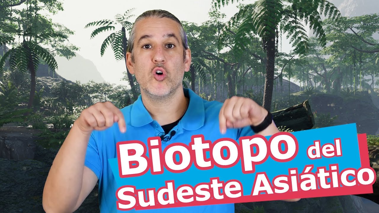 ACUARIO de BIOTOPO sudeste ASIÁTICO