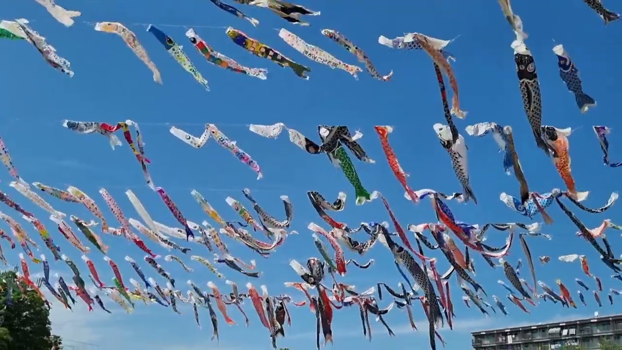 Kodomo no Hi in Japan - it's Children's Day!
