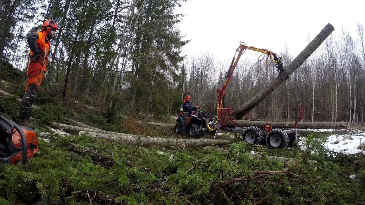 Forestry WorkTimelapse