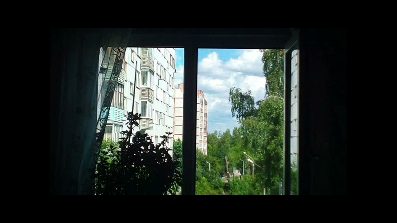 leto99 - мой родной 2011