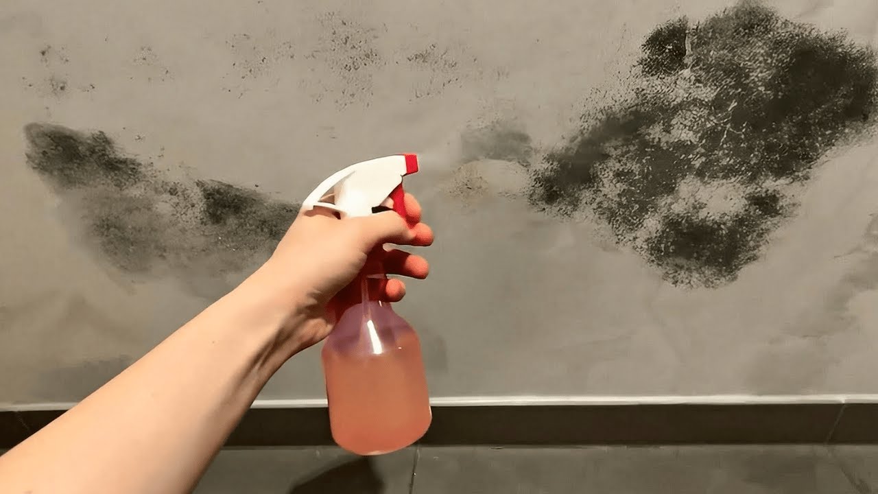 Hausmittel gegen Schimmel und Feuchtigkeit. Wirkt in jedem Raum