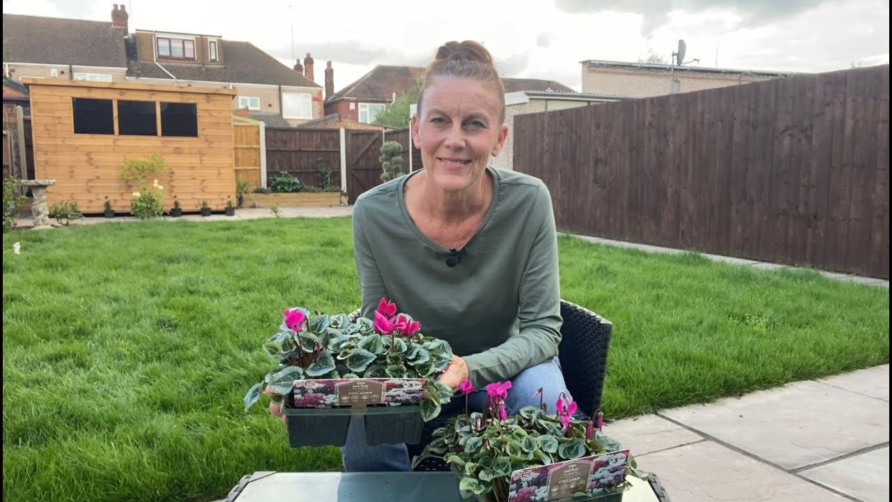 Planting Cyclamen & Bulb Buying for Spring 🌷🌷 Garden Rewards 🌷🌷