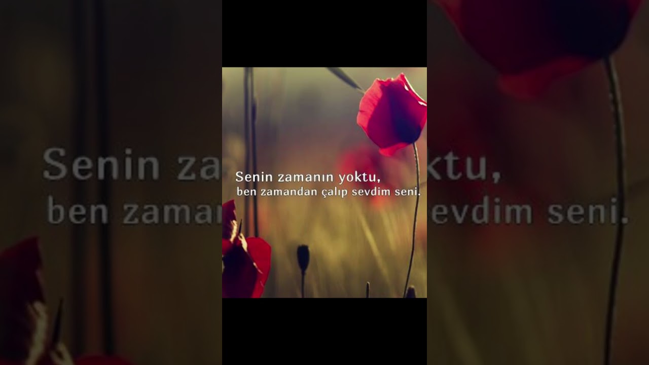 Sen Yoksan Sevgilim 