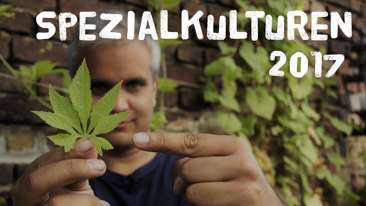 Spezialkulturen 2017 - 6 Nutzpflanzen vorgestellt