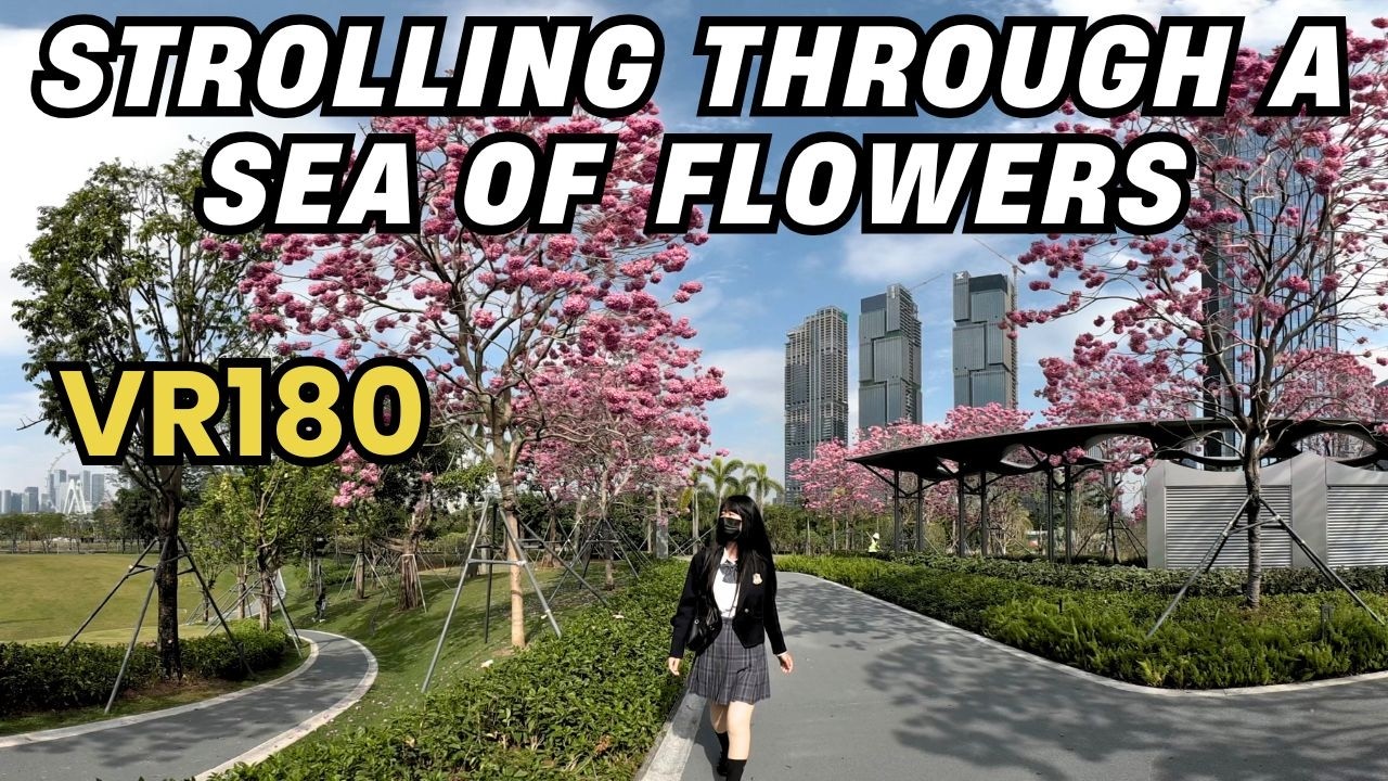 Qianhai Shenzhen Bay | Flowers by the Sea in a Modern City｜China Travel｜SHENZHEN｜Relaxing
