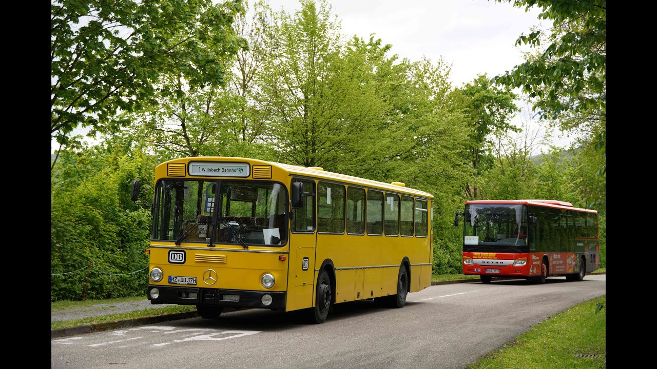 Sonderfahrten zum Wein am See 2024 mit Mercedes O´307