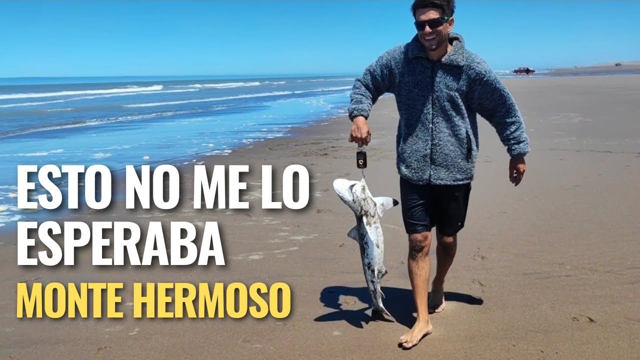 (2/2) MONTE HERMOSO / SAUCE GRANDE, LA PESCA DIÓ SORPRESA CON UN TREMENDO BICHO