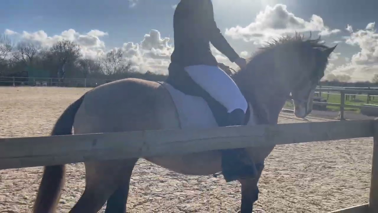 Club 4 - Dressage virtuel - Février 2026