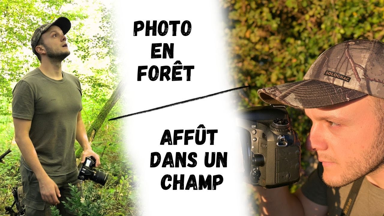 Photo en forêt & Affût dans un champ