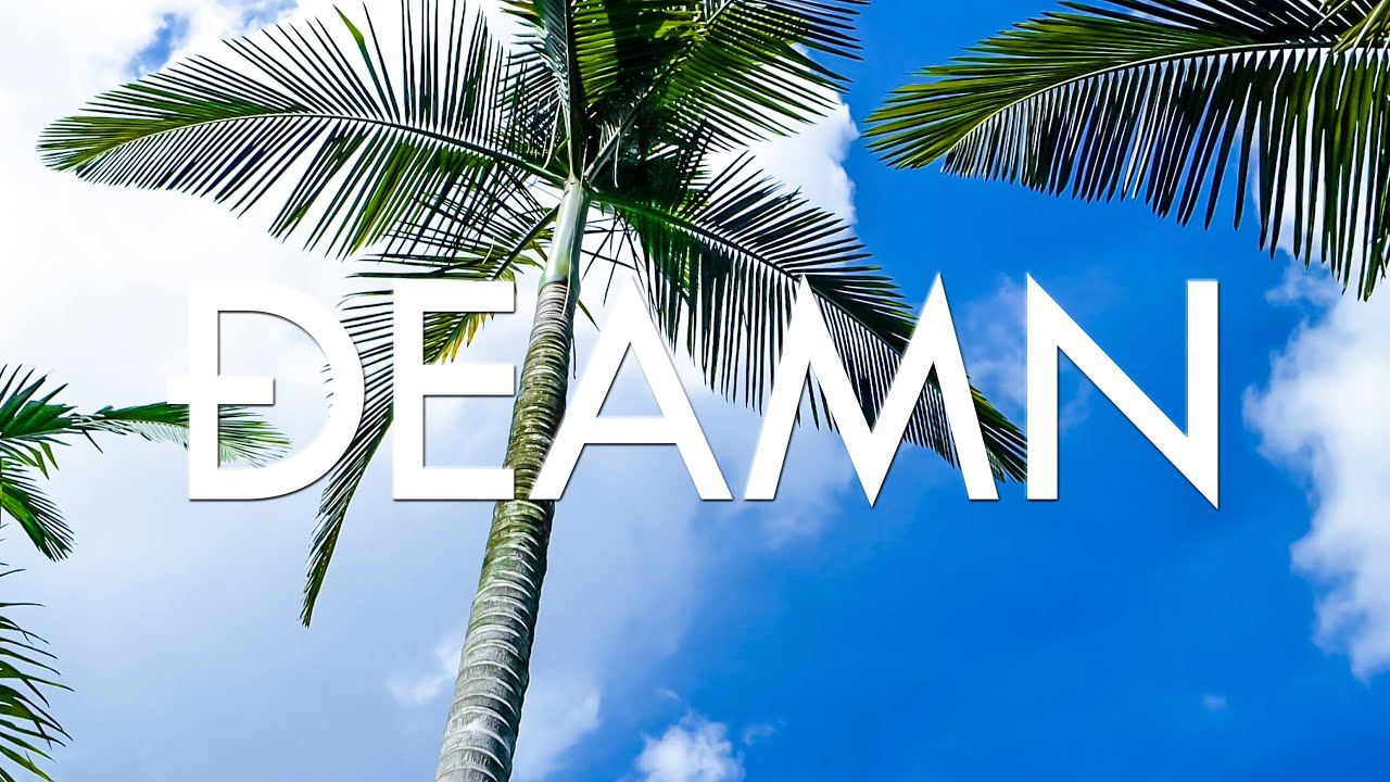 DEAMN - Seventeen ( Full Album) 1 Hour 4K Lyrics