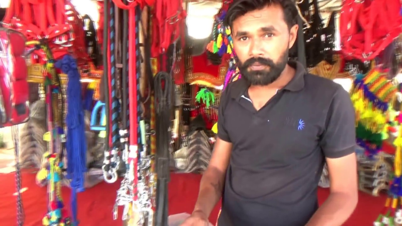 ना करो ऐसा घोड़े के साथ Horse Bits & Health Care - Ft. RD Gohil At Balotra Horse Market Mela