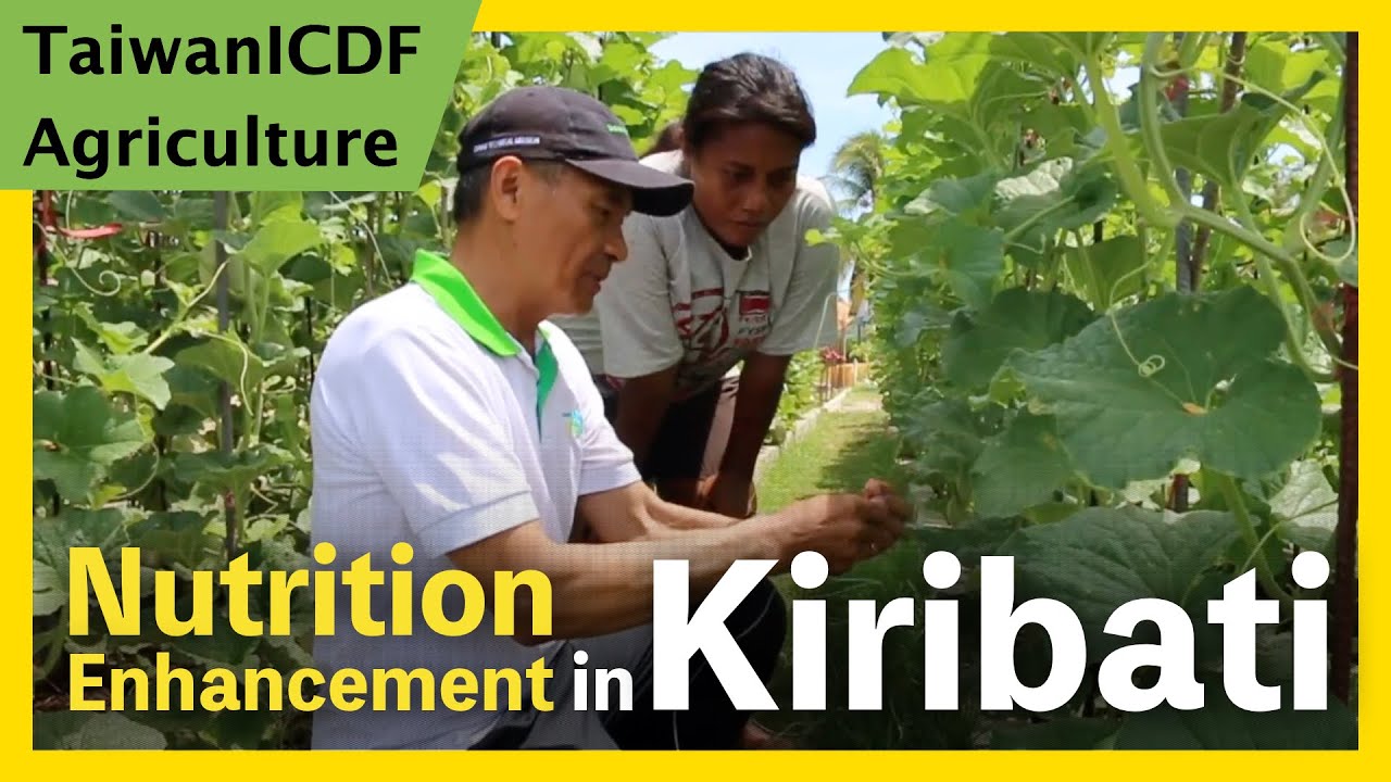 Nutrition Enhancement Project (Kiribati)
