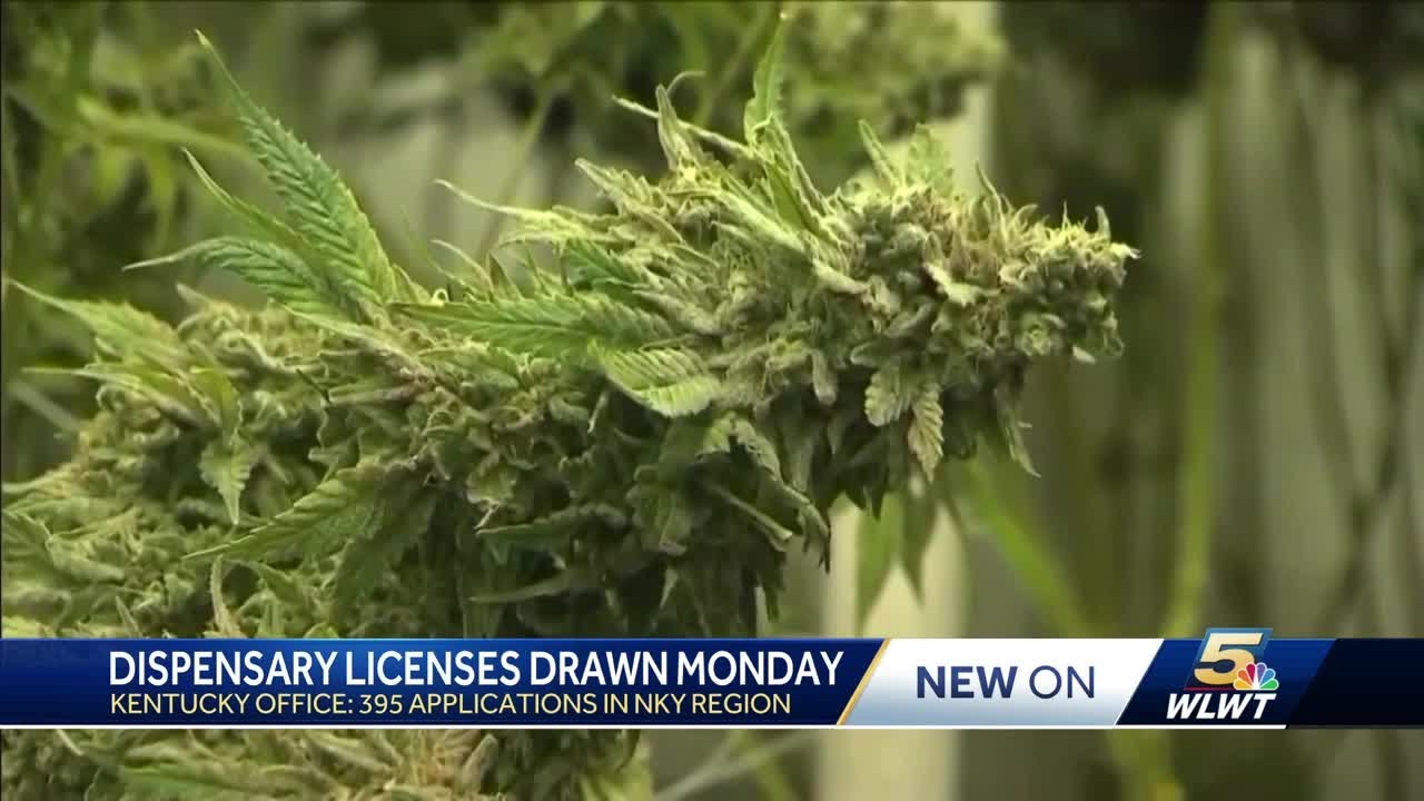 Medical marijuana certifications can be issued to Kentucky patients starting Dec. 1