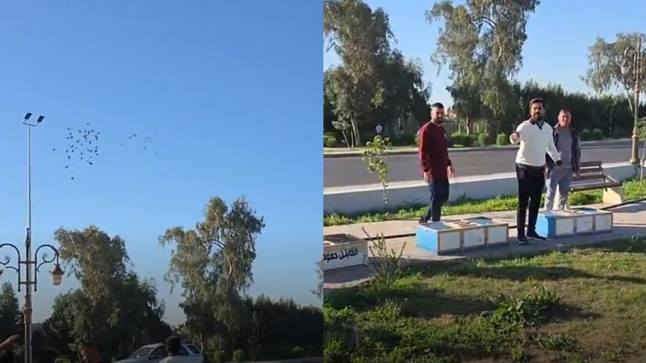 الفكه الثانيه مال علي اللامي وحمودي ابو دجاج من باب المعضم 