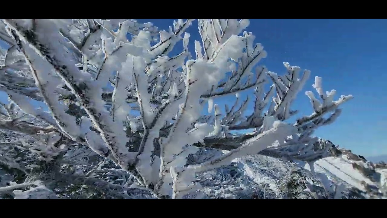 Beautiful view of Mt.Halla on Mar.02, 2023